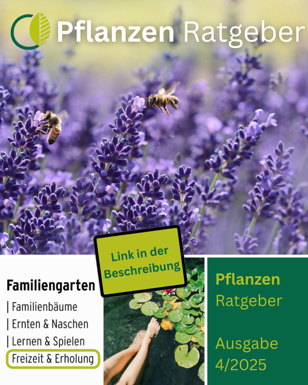 🌼 Euer Garten ist mehr als Arbeit – er ist Rückzugsort, Kraftquelle und manchmal wie ein kleiner Urlaub.

💦 In der aktuellen Ausgabe zeigen wir euch, wie ihr mit Duftpflanzen, Kletterwundern, Wasserstellen und Dauerblühern eine echte Wohlfühloase schafft!

📲 Einfach reinschauen unter: https://pflanzenfachhandel.de/Koch/

#kochchristmann #kaiserslautern #gartenruhe #duftpflanzen #gartendeslebens #gärtnerglück