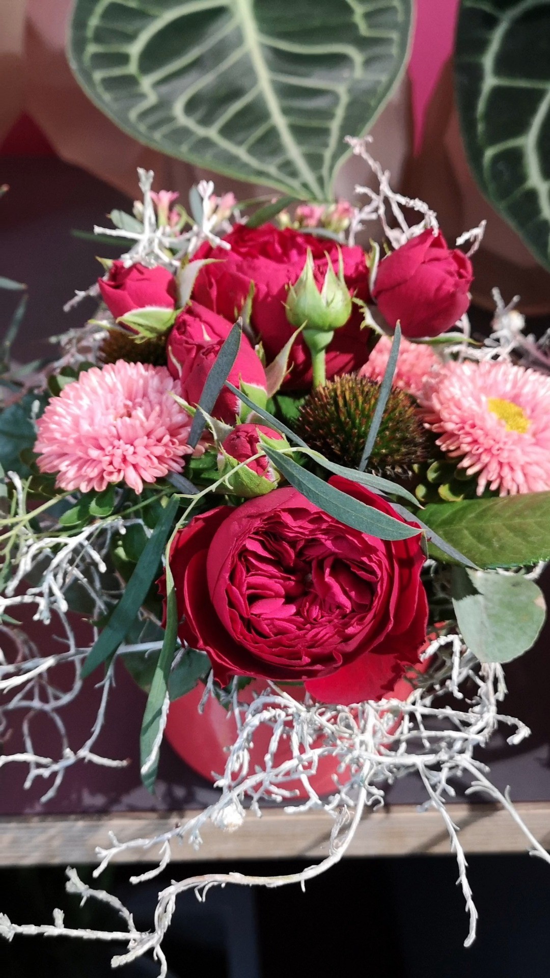 Gute Laune am Wochenende 🌸🌿

Diese Woche gibt’s ein kompaktes Arrangement voller Sommerfarben:
Rote Rosen, pinke Blüten und zartes Grün, gesteckt im passenden Gefäß – für den Tisch, zum Verschenken oder einfach für zu Hause.

Für 13,90 €, nur solange der Vorrat reicht.

Wer zuerst kommt, bringt als Erstes Farbe nach Hause 💚

#kochchristmann #GuteLauneAmWochenende #Wochenendangebot #Floristik #Blumenliebe #Sommerblumen #Kaiserslautern #Regional  #Blumendeko