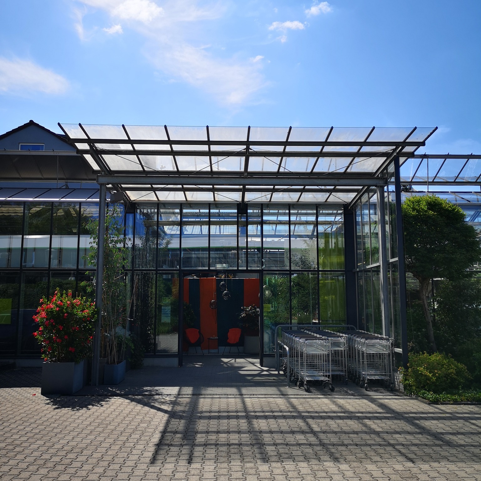 Ab morgen wieder mit regulären Öffnungszeiten 🌿
Montag bis Freitag: 9 – 18 Uhr
Samstag: 9 – 14 Uhr
Wir freuen uns auf euren Besuch.
#kochchristmann #kaiserslautern #gärtnerei #floristik #regional #pflanzenfreude #blumenliebe