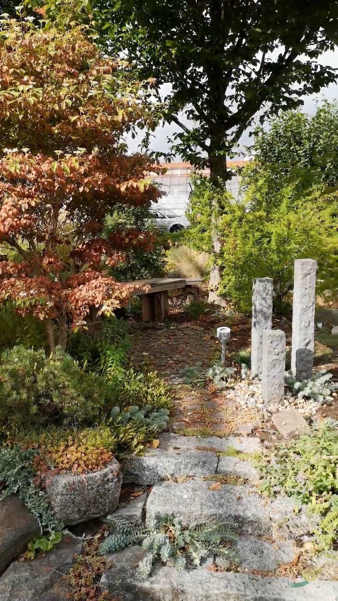 Farben und Formen im Grünen 🌸🌿
Ein kleiner Rundgang durch unsere Anlagen. Blüten, Pflanzen und viel Natur.
#kochchristmann #kaiserslautern #gärtnerei #pflanzen #regional #saisonal #gartenideen #pflanzenfreude