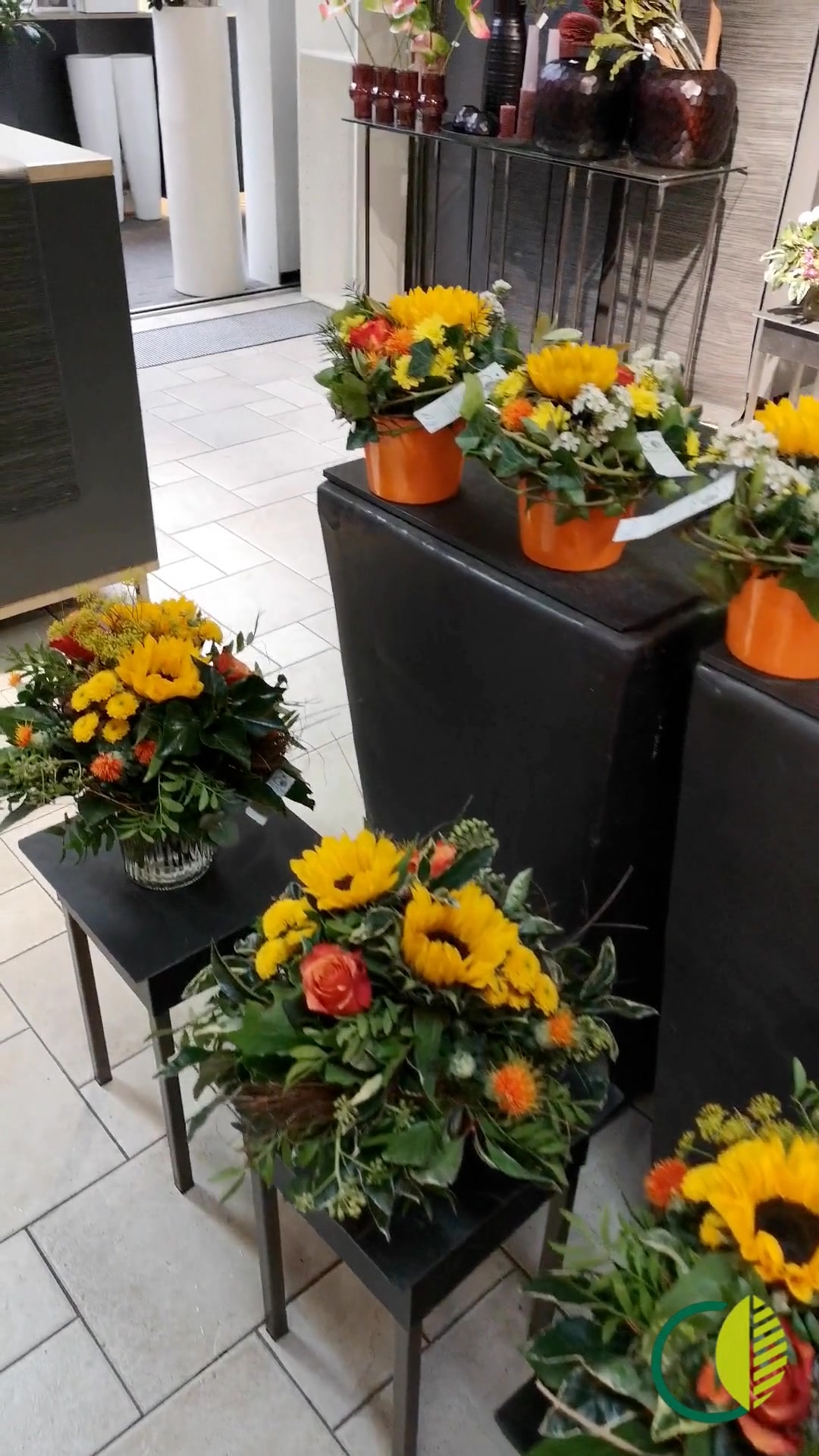 Ein paar Eindrücke aus dem Betrieb 🌸
Schnittblumen, herbstliche Werkstücke und ein Blick in unseren Eingangsbereich.
#kochchristmann #kaiserslautern #floristik #gärtnerei #schnittblumen #sonnenblumen #pflanzenliebe #regional #saisonal