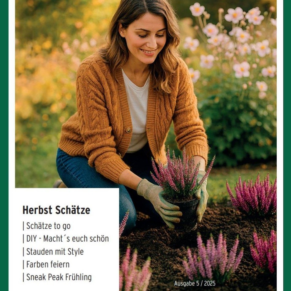🍂 Jetzt entdecken: die neue Herbstausgabe unseres Kundenmagazins! 🍂
Der Herbst zeigt sich von seiner schönsten Seite. 🌿
In der aktuellen Ausgabe findet ihr:
🌸 Stauden mit Style für späte Blütenfreude
🍁 Gehölze mit spektakulärer Herbstfärbung
🌿 Pflanzideen für Balkon & Terrasse
🎨 Eine DIY-Anleitung für einen herbstlichen Kranz
🌷 Und Tipps, welche Blumenzwiebeln ihr jetzt für den Frühling setzen solltet
👉 Jetzt digital durchblättern: https://pflanzenfachhandel.de/Koch/
#kochchristmann #kaiserslautern #pflanzenratgeber #herbstgarten #gartenideen #gartenschätze #blumenzwiebeln #gartenglück