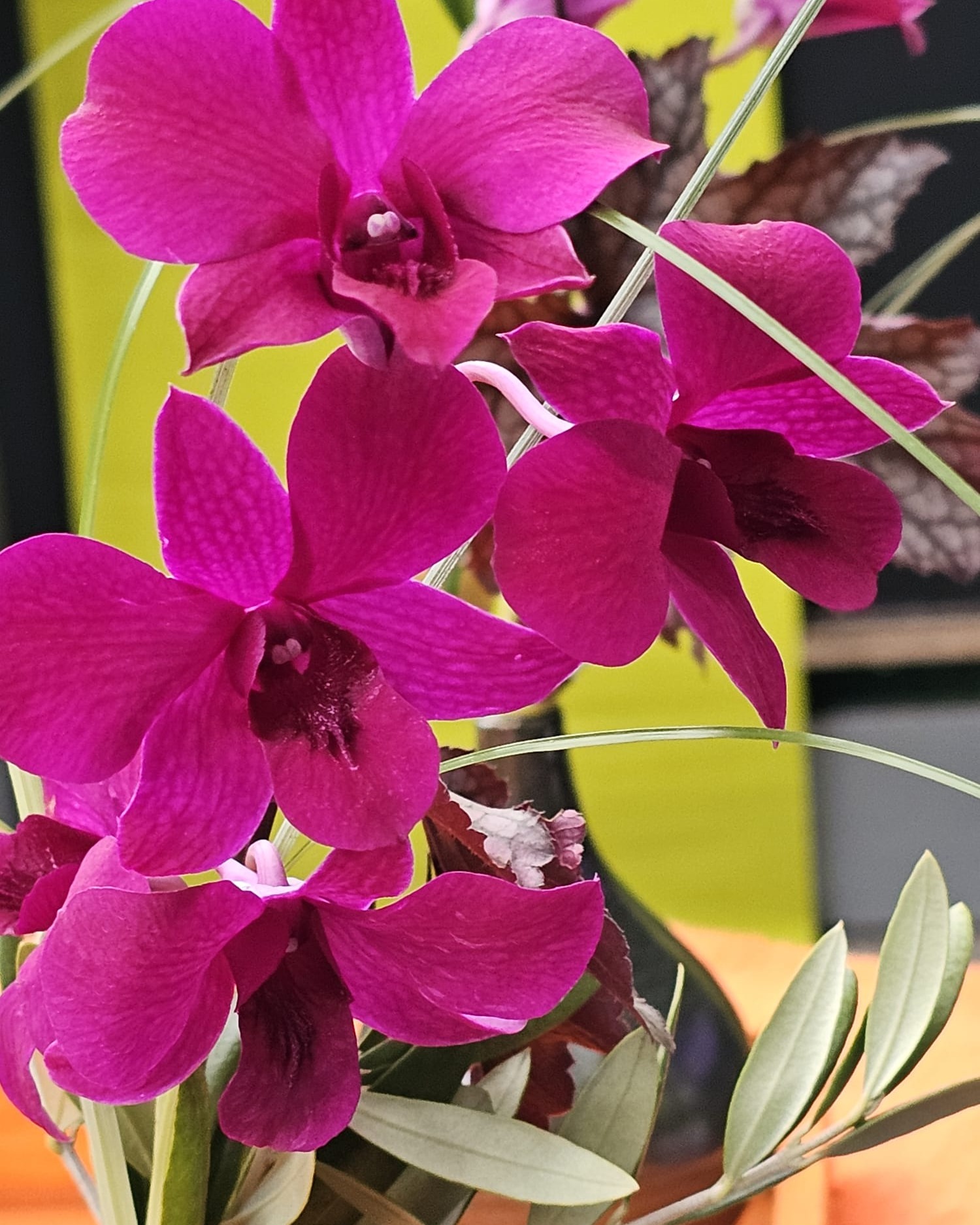 Gute Laune am Wochenende🌸🌿

Diese Woche im Angebot:
Eine stilvolle Vase mit einer Dendrobium-Blüte und passendem Grün.
Ideal für Tisch, Empfang oder als kleines Geschenk.

Für 13,90 €, nur solange der Vorrat reicht.
Vorbeischauen & mitnehmen 💚

#kochchristmann #GuteLauneAmWochenende #Wochenendangebot #Dendrobium #Floristik #Blumenliebe #Kaiserslautern #Regionalekäufe #Blumendeko #Orchidee