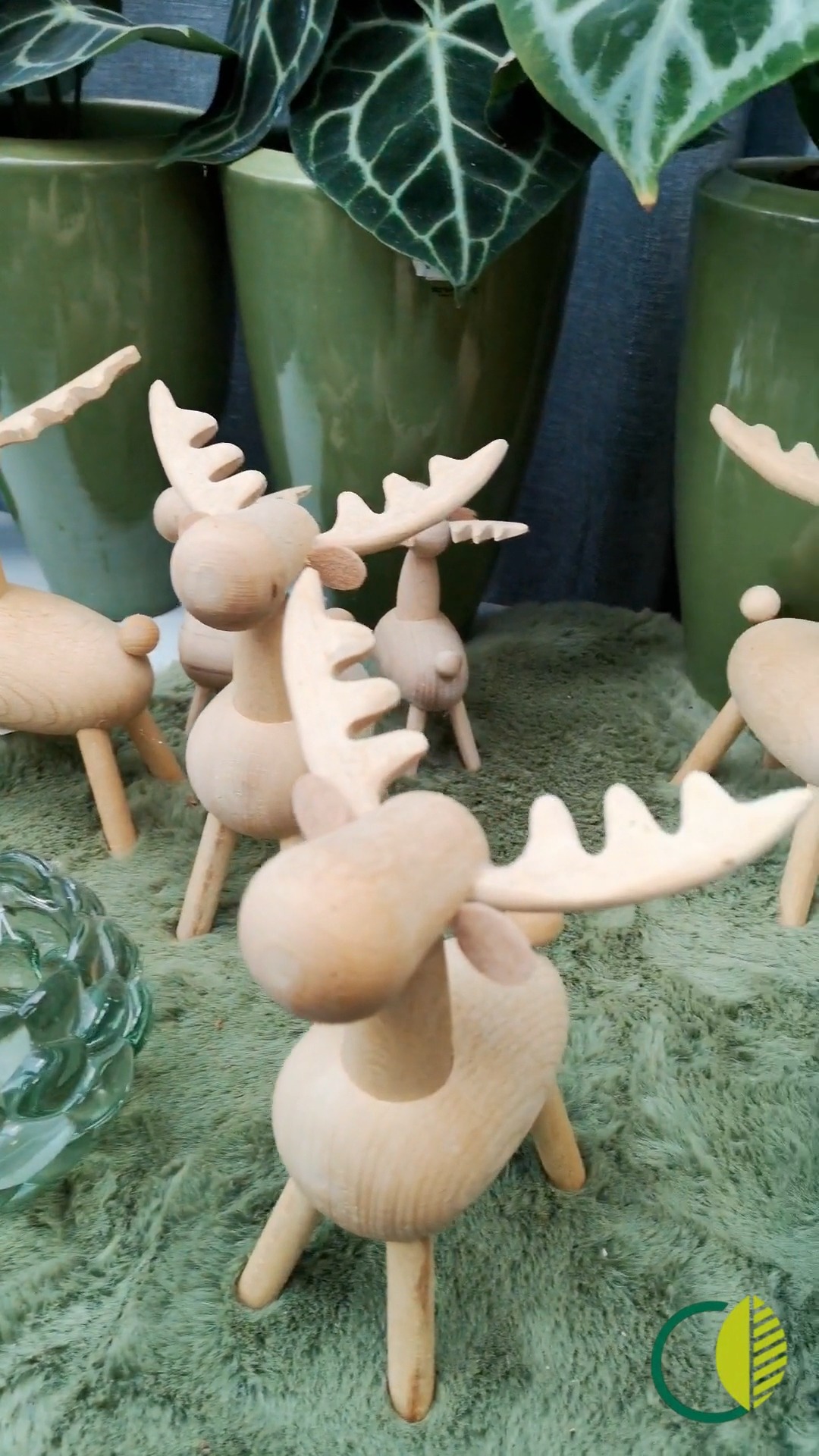 Ein Blick ins Warmhaus 🌸
Pflanzen und Deko ruhig arrangiert + natürlich kombiniert.
#kochchristmann #kaiserslautern #gärtnerei #warmhaus #pflanzenliebe #deko #regional #saisonal #blumenliebe