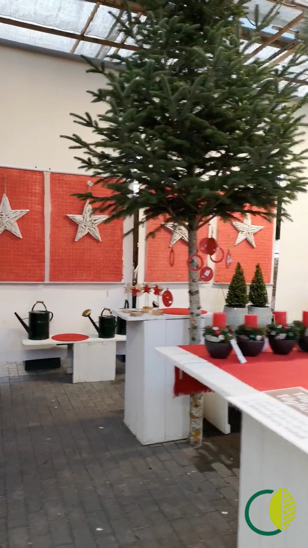 Ein kleiner Rundgang durch unsere Ausstellung. Jeden Tag kommt Neues dazu ✨
Die ersten Weihnachtssterne aus eigener Produktion sind auch schon mit da🌟
Vorbeischauen lohnt sich!

#kochchristmann #adventsausstellung #kaiserslautern #weihnachtssterne #floristik #weihnachten #blumenausstellung #handwerk #blumenliebe