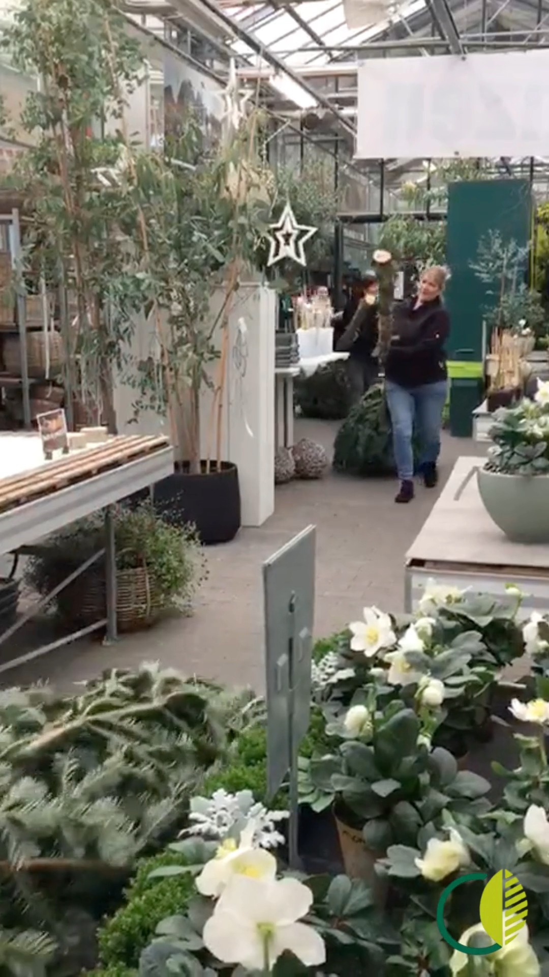 🎶 Die Tannen sind im Anmarsch! 🎄
Mit Schwung und guter Laune starten wir in die Weihnachtszeit.

#kochchristmann #tannenbäume #weihnachten #advent #weihnachtsstimmung #gärtnerei #kaiserslautern #teamwork