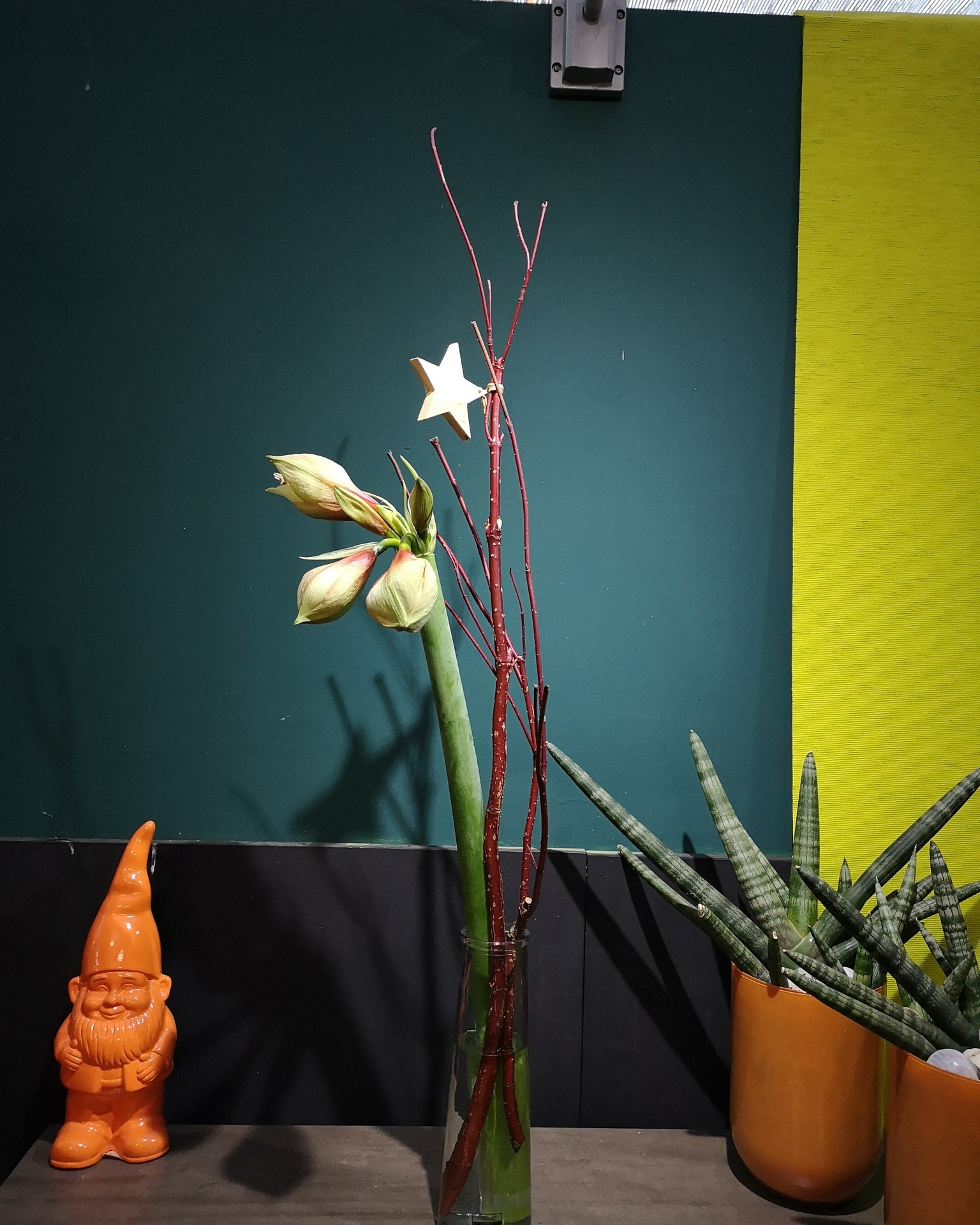 Gute Laune am Wochenende ⭐🌿Eine Amaryllis mit Cornus-Zweig und Holzstern in einer Glasvase.
Ein Arrangement, das auch in der Adventszeit schön wirkt und sofort Wärme in den Raum bringt.Für 13,90 €, nur solange der Vorrat reicht.
Vorbeischauen lohnt sich 💚#kochchristmann #GuteLauneAmWochenende #Wochenendangebot #Amaryllis #Cornus #Winterdeko #Floristik #Kaiserslautern #Blumenfreude #Regionalekäufe