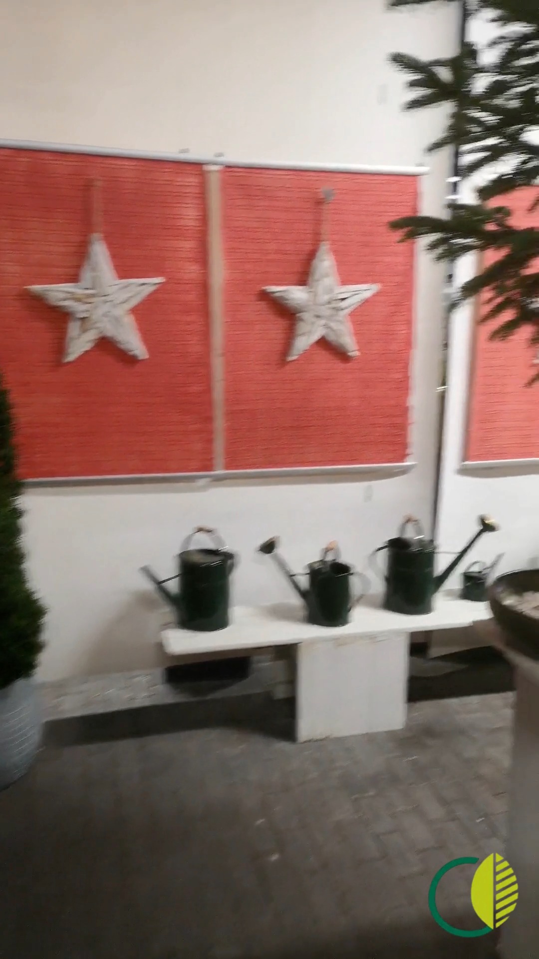 Ein Rundgang durch unsere Ausstellung, ein kleines Update nach dem ersten Advent. ✨

#kochchristmann #kaiserslautern #advent #weihnachten #gaertnerei #floristik #pflanzenliebe #regional