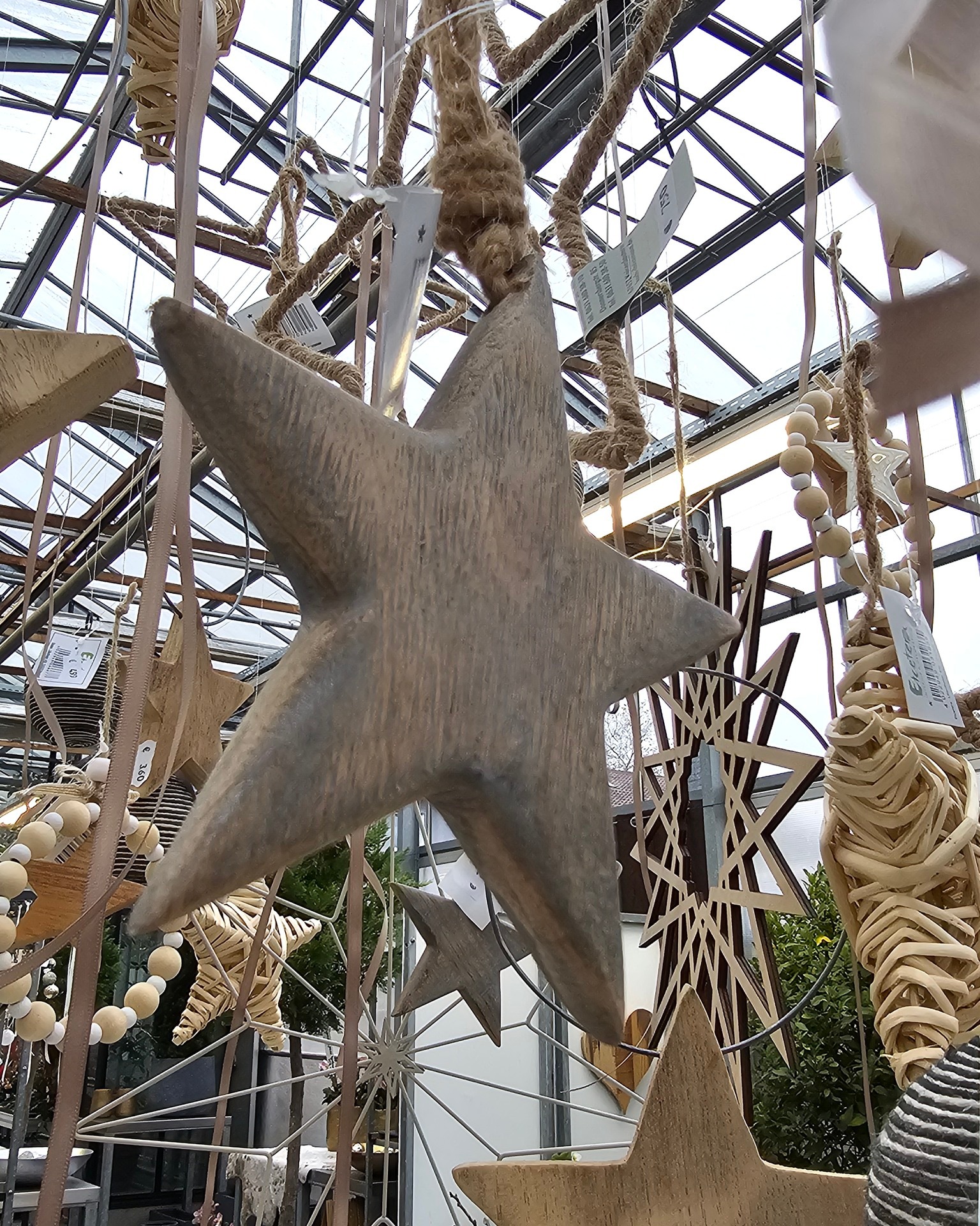 Überall tauchen sie gerade auf, kleine und große Sterne, mal als Dekoration, mal als Teil eines Werkstücks. Dezente Details, die die Adventszeit leuchten lassen. ✨

#kochchristmann #kaiserslautern #advent #weihnachten #floristik #dekoideen #gaertnerei #regional