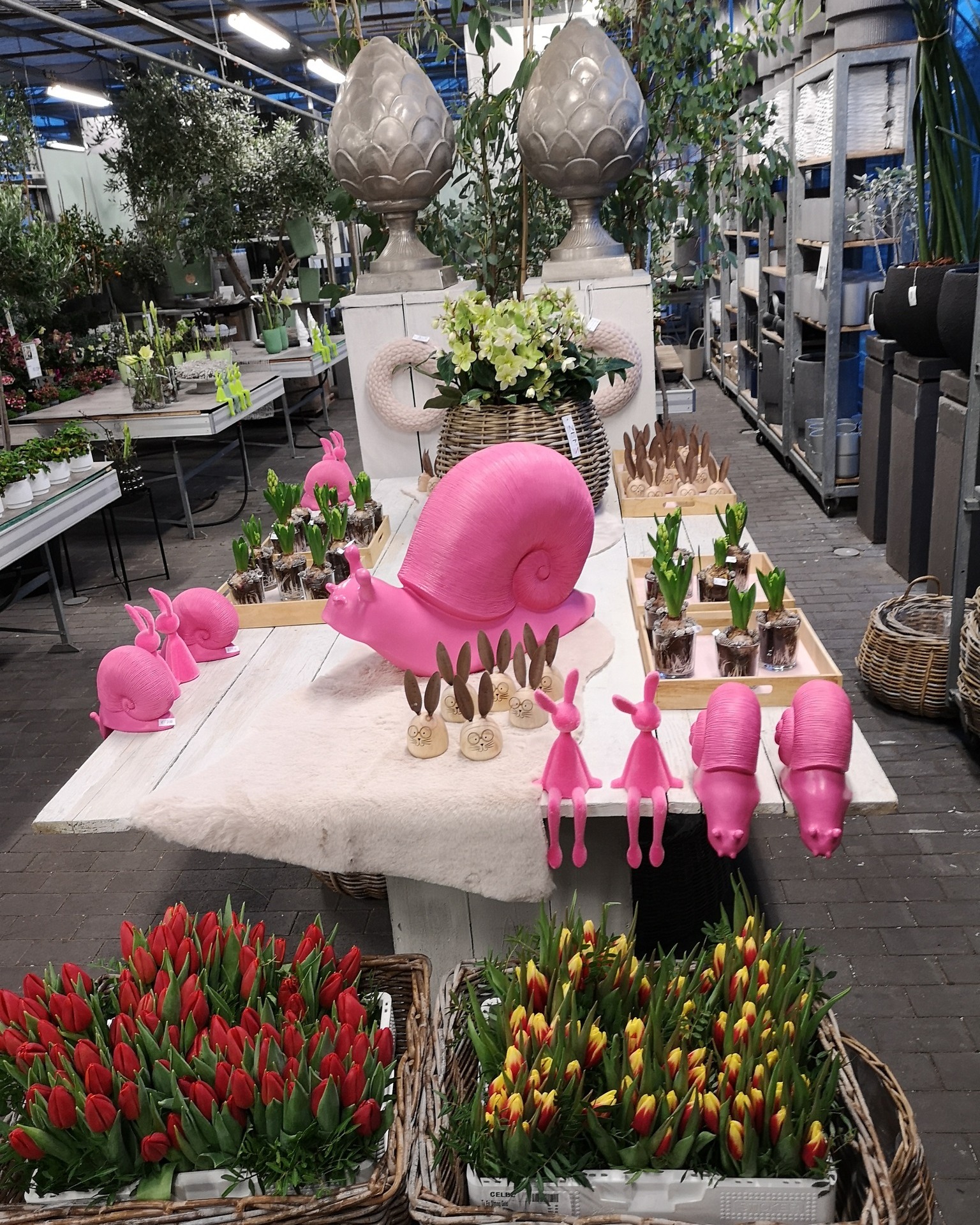 Es wird langsam Frühling. 🐌

#kochchristmann #kaiserslautern #frühling #deko #gärtnerei #blumenladen