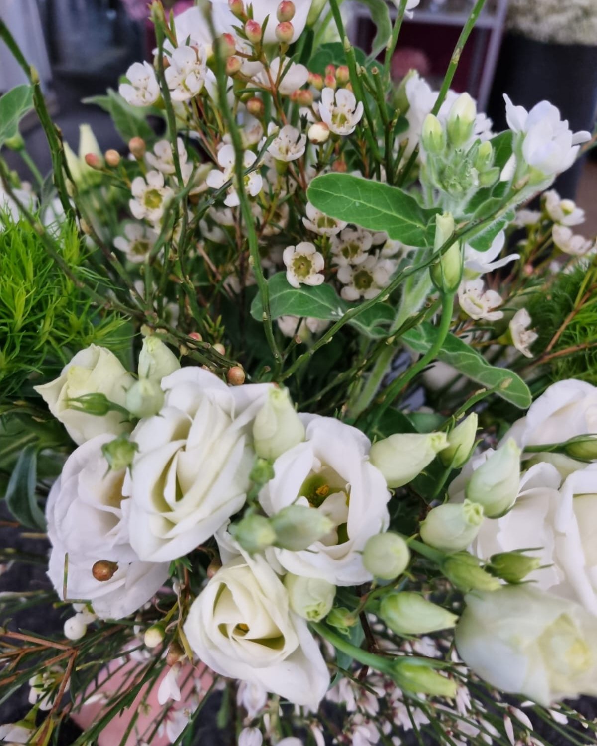 Ein weißer Strauß mit ausdrucksstarken Blüten und edlem Grün. 
Zurückhaltend in der Farbe, stark in der Wirkung. 🤍

Aus unserer Filiale in der Donnersbergstraße.
#kochchristmann #kaiserslautern #floristik #blumenstrauß #weißeblumen #zeitlos #blumenliebe