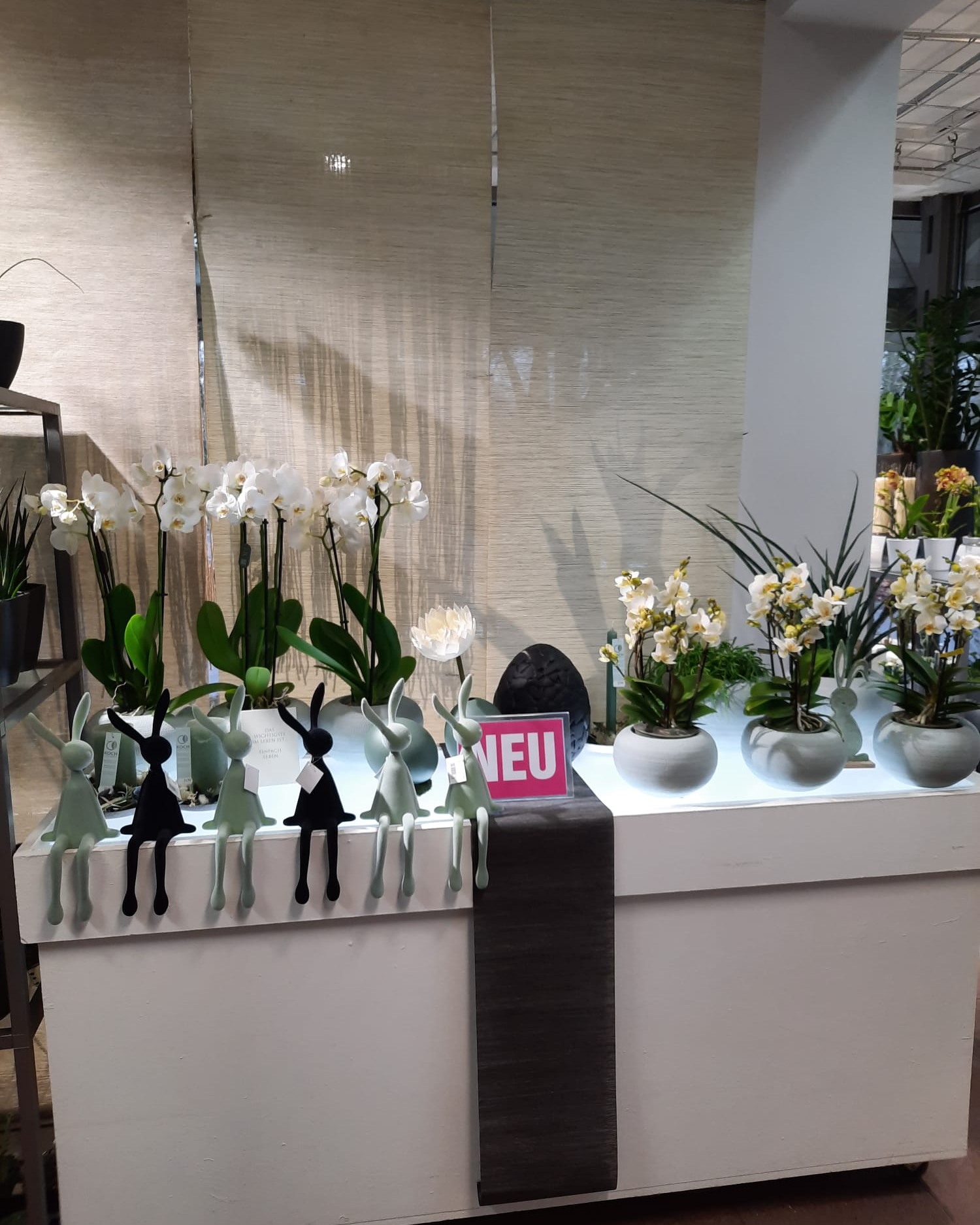 Ein paar aktuelle Eindrücke aus unserer Filiale in der Donnersbergstraße.
Zwischen Pflanzen, Floristik und kleinen Details: So sieht es gerade bei uns aus.

#kochchristmann #kaiserslautern #donnersbergstraße #floristik #gärtnerei #blumenladen