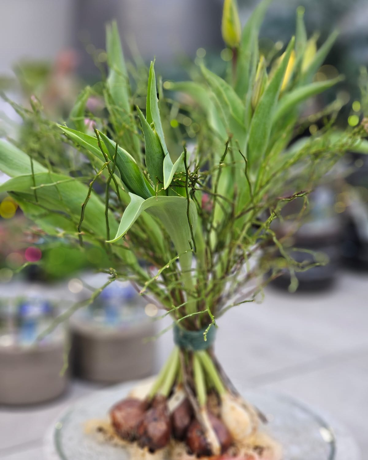 Tulpen, die für sich stehen dürfen.
Ein frühlingshafter Strauß, der kurz die kalten Temperaturen ausblendet. 🌷

#kochchristmann #kaiserslautern #tulpen #floristik #blumenstrauß #frühling #blumenliebe