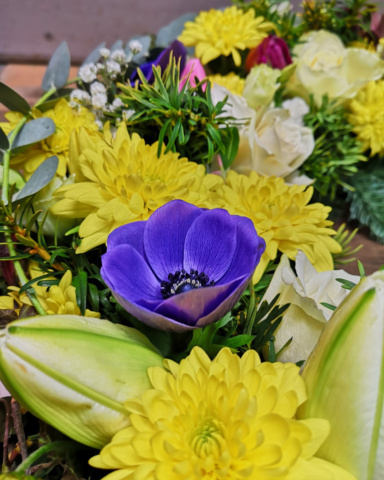 Kräftige Farben: Blau, Gelb und Violett treffen auf Eukalyptus und frisches Grün.

#kochchristmann #kaiserslautern #floristik #blumenkranz #farbenspiel #blumenhandwerk