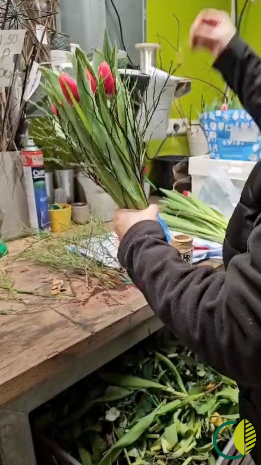 Tulpen werden für den Verkauf aufgebunden 🌿
Alltag im Blumenladen, ein kleiner Blick hinter die Kulissen.

#kochchristmann #kaiserslautern #tulpen #frühlingsblumen #blumenliebe #floristik #regional #pflanzen