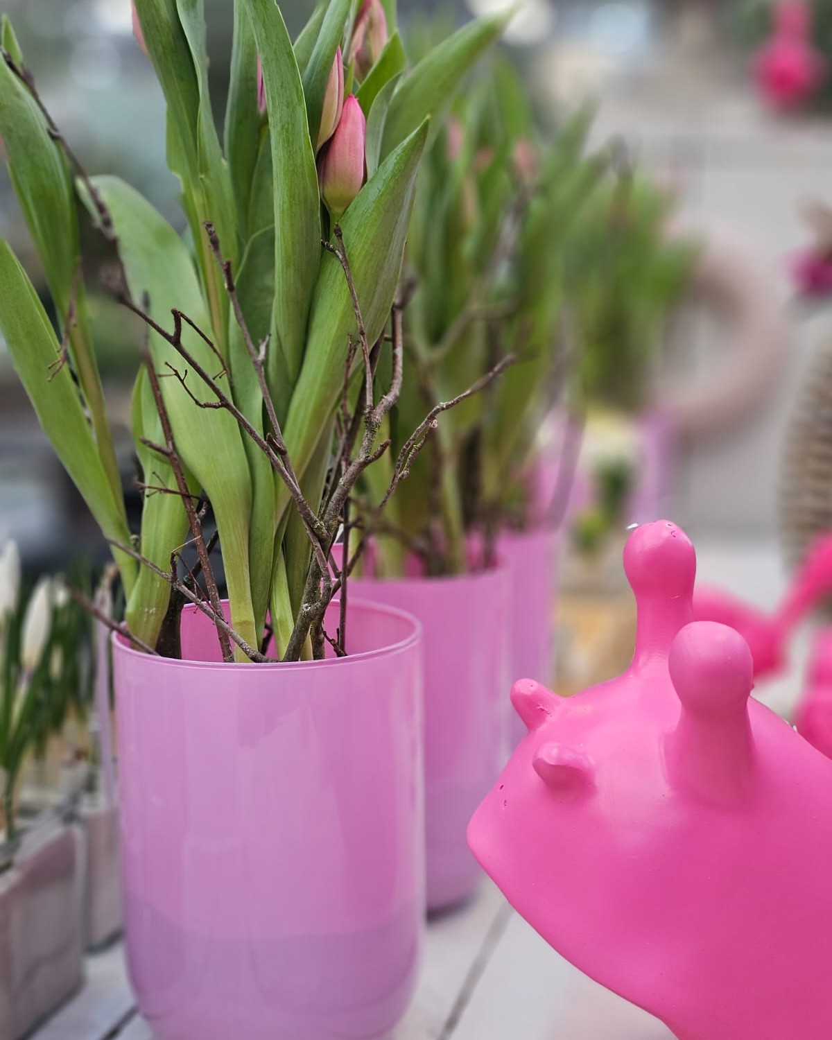 Nicht nur Rosen gehören zum Valentinstag, auch Frühlingsblüher sind eine schöne Geste. Etwas Vorfreude auf die kommende Saison. 🌸🌿

Wir wünschen euch einen schönen Valentinstag!

#kochchristmann #kaiserslautern #valentinstag #frühlingsblüher #gärtnerei #blumenliebe