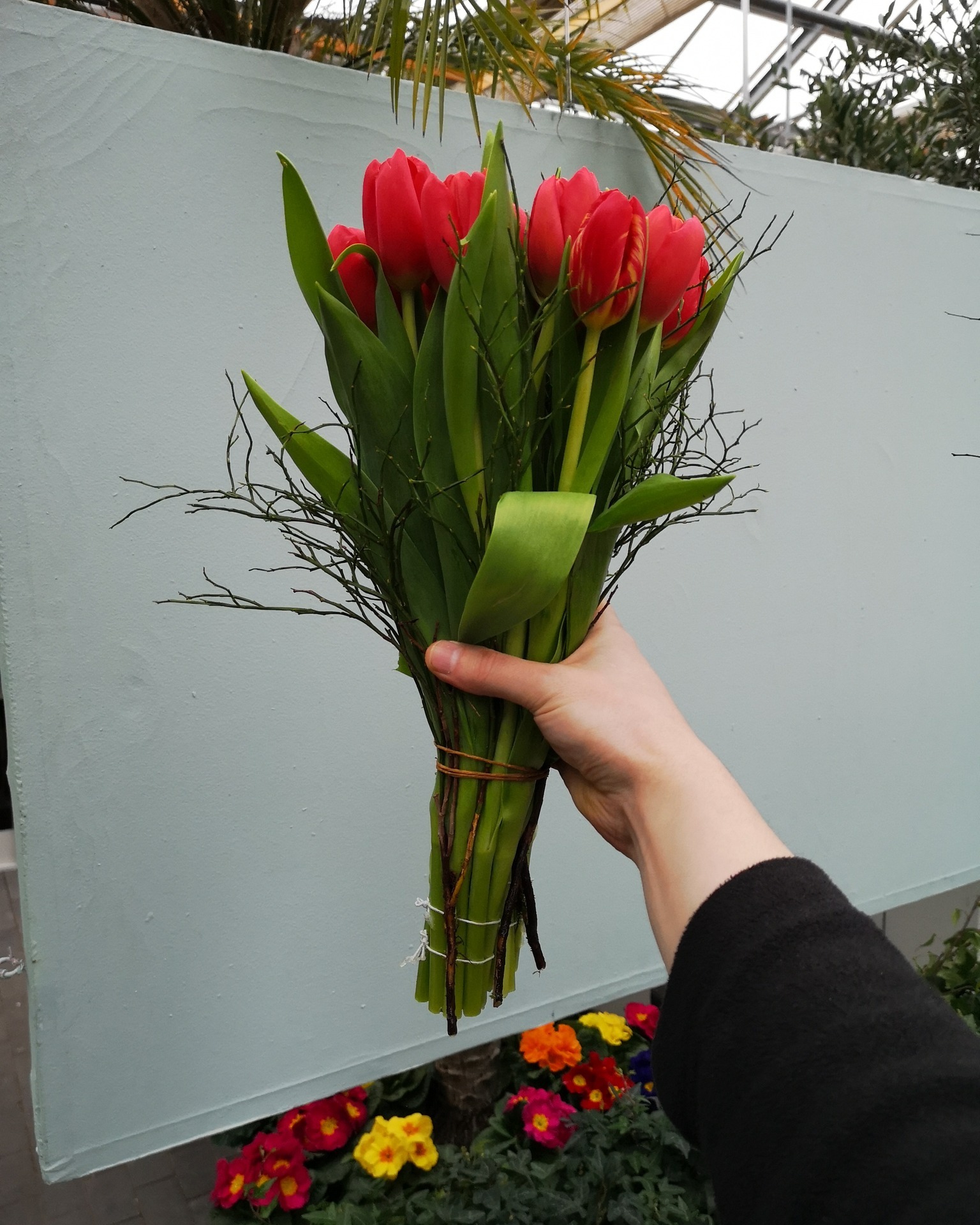 Gute Laune am Wochenende 🌷🌿

Diese Woche im Angebot:
20 Tulpen, aufgebunden mit Heidelbeerzweigen.

Für 13,90 €, nur solange der Vorrat reicht.
Vorbeischauen & mitnehmen 💚

#kochchristmann #GuteLauneAmWochenende #Wochenendangebot #Tulpen #Frühlingsblumen #Floristik #Kaiserslautern #Blumenfreude #Regionalekäufe