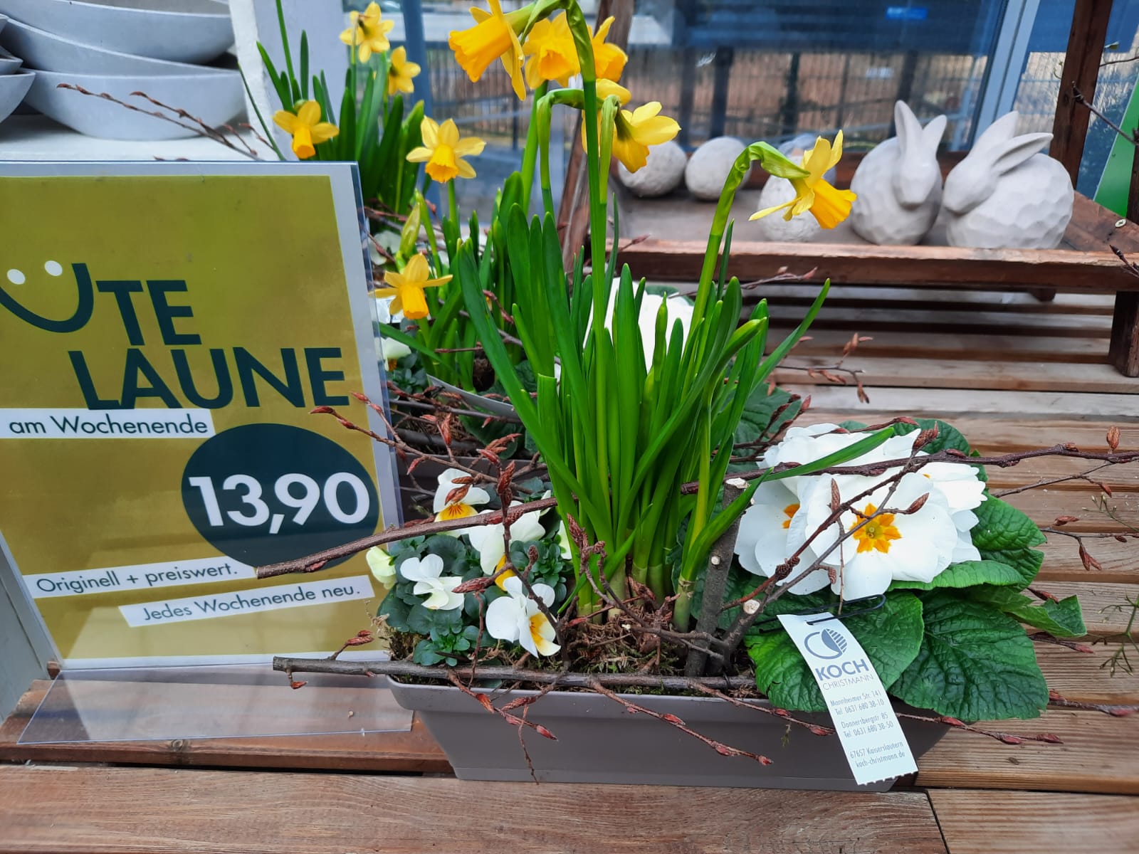 Gute Laune am Wochenende 🌼🌿

Diese Woche im Angebot:
Narzisse, Hornveilchen und Primel in einem kleinen Balkonkasten, dekoriert mit Birkenzweigen.
Auf den Balkon, fertig, los!

Für 13,90 €, nur solange der Vorrat reicht.
Vorbeischauen & mitnehmen 💚

#kochchristmann #GuteLauneAmWochenende #Wochenendangebot #Narzissen #Hornveilchen #Primeln #Balkonpflanzen #Frühling #Kaiserslautern #Regionalekäufe