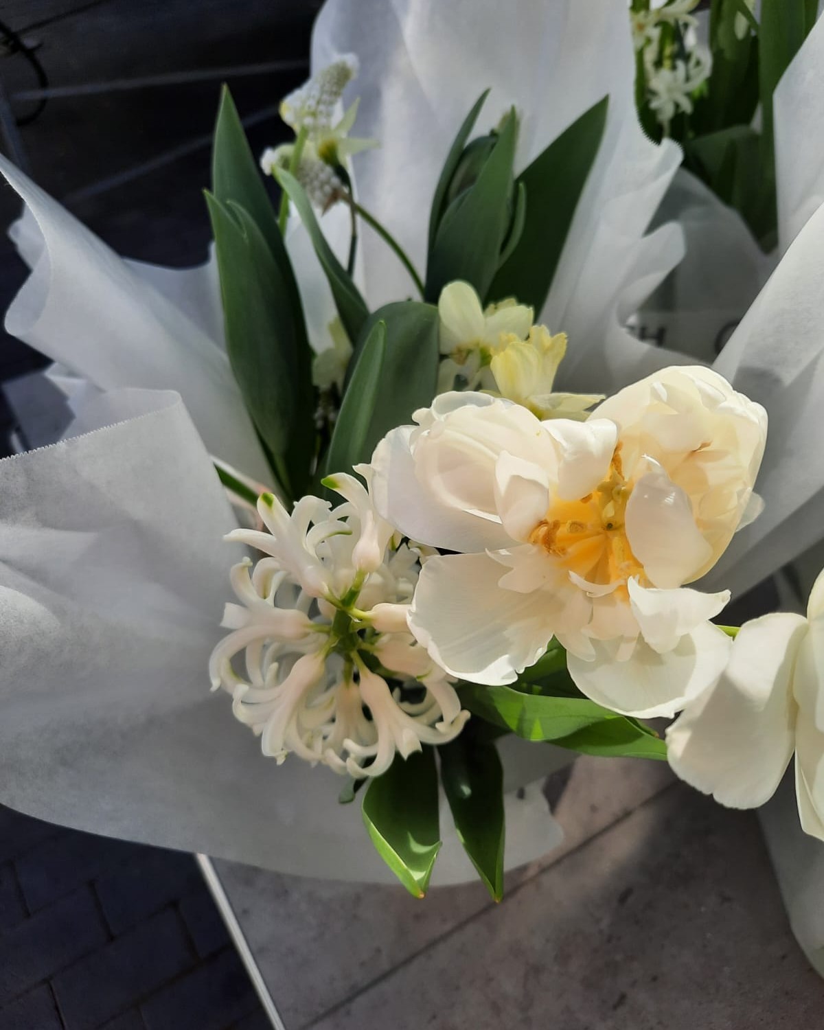 Gute Laune am Wochenende 🌼🌷

Diese Woche im Angebot:
Ein Frühlingsmix in Papiermanschette – fertig als kleines Geschenk verpackt.
Mit kleinen Muscari, Tulpen, Narzissen und Hyazinthen. Farbenfroh und duftend.

Für 13,90 €, nur solange der Vorrat reicht.
Vorbeischauen & mitnehmen 💚

#kochchristmann #GuteLauneAmWochenende #Wochenendangebot #Frühlingsblumen #Floristik #Kaiserslautern #Blumenfreude