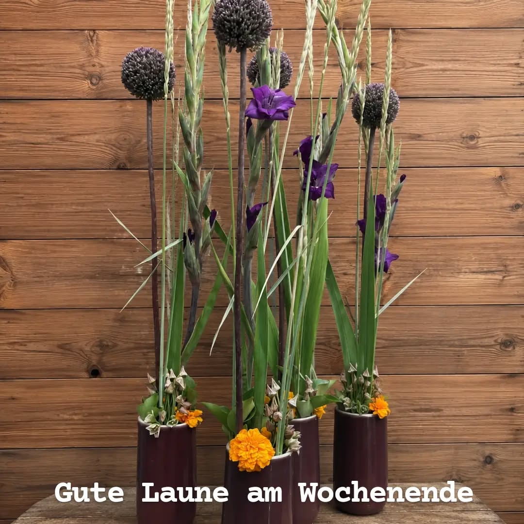Gute Laune am Wochenende 🌼 , diesmal unsere beliebte schmale Vase gefüllt mit einer Gladiole in tief blau, einen Alium und einer knallig orangenen Tagetes, schön gesteckt 🌞 🌾nur so lange der Vorrat reicht.
#Kochchristmann #Kaiserelautern #Gärtnerei#Floristen