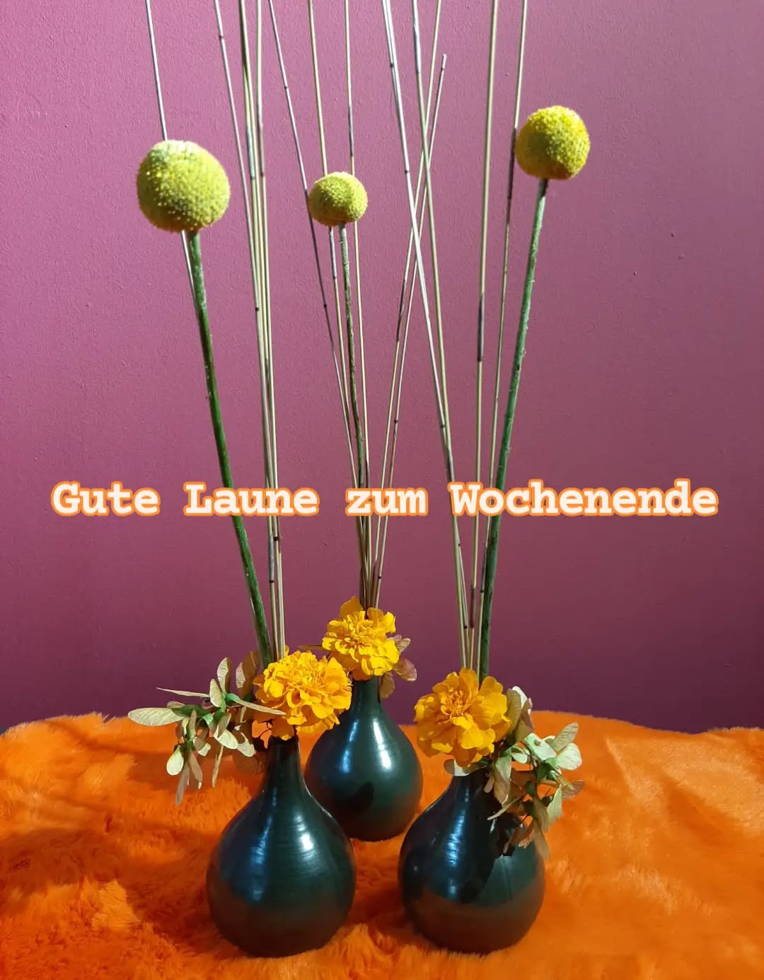 #gutelaune #floristenfachgeschäft #gärtnerei #kochchristmann#Kaiserslautern 
Gute laune am Wochenende,🌱🌼 eine kleine Kugelvase, in dunkelgrün ,stilvoll gefüllt mit einer knallig orangenen Tagestes, einer Craspedia und Ahorn "flieger", hervorragend zum trocknen geeignet.