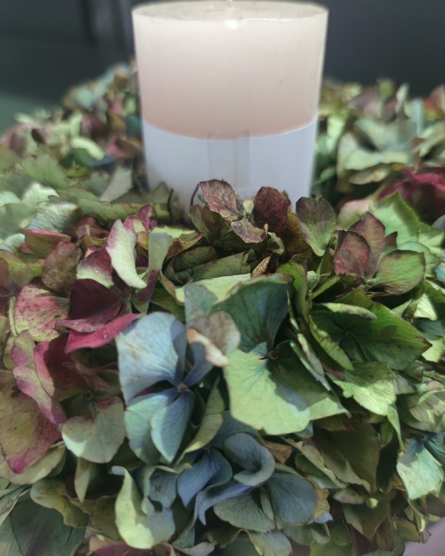 Gute Laune am Wochenende 🍂🕯️

Diese Woche im Angebot:
Ein Hortensienkranz mit Kerze auf einem passenden Teller. Die herbstliche Kombination sorgt für eine gemütliche Atmosphäre und passt wunderbar auf den Tisch.

Für 13,90 €, nur solange der Vorrat reicht.
Vorbeischauen & mitnehmen 💚

#kochchristmann #GuteLauneAmWochenende #Wochenendangebot #Hortensien #Herbstdeko #Tischdeko #Floristik #Kaiserslautern #Blumenliebe #Regionalekäufe